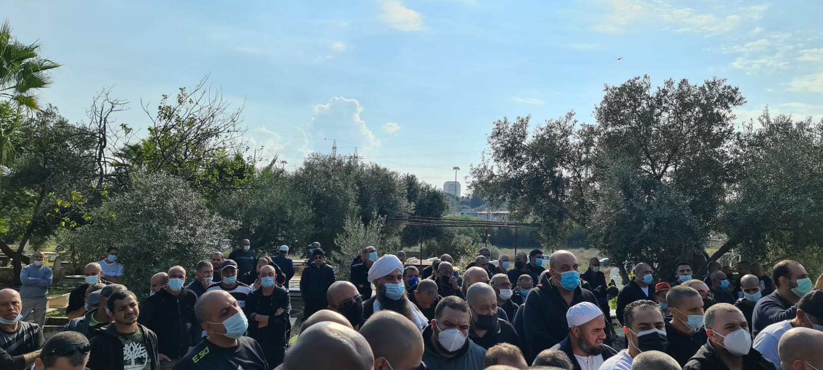 WhatsApp Image 2020-11-27 at 12.58.28 PM.jpeg.jpeg